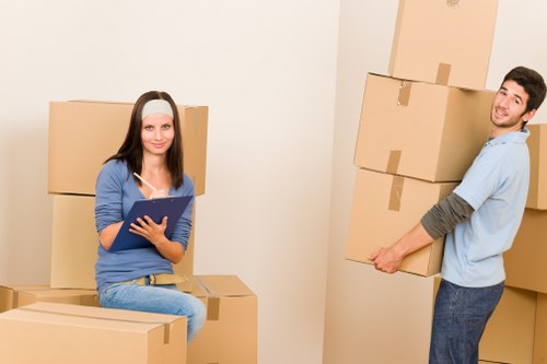 Bromley man with a van handling boxes and household items